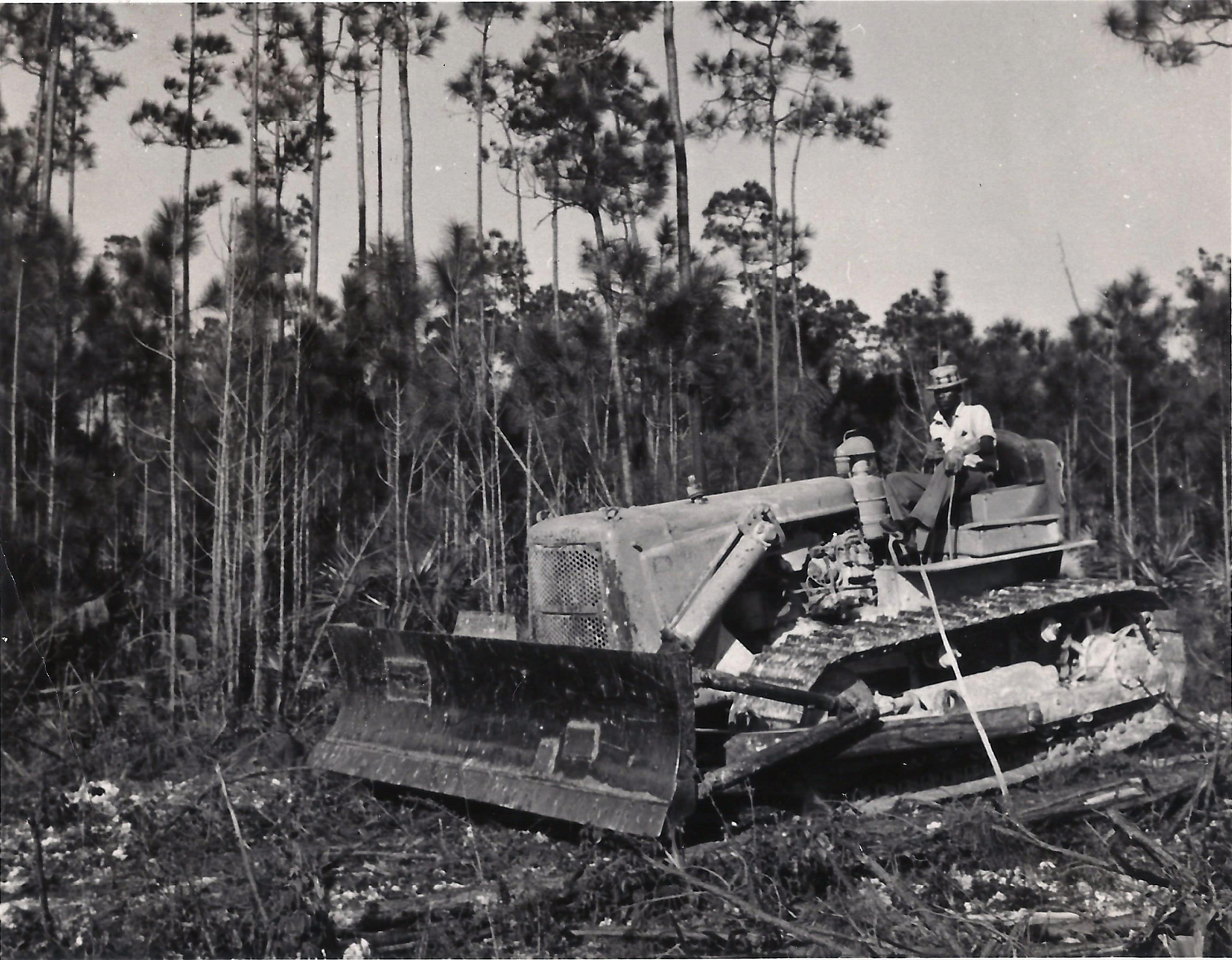 Bulldozing paths into the pine forests, 1950's